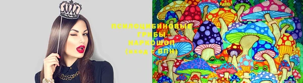 молекула духа Няндома