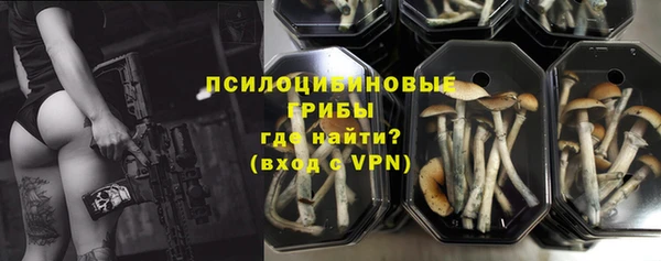 mdpv Нязепетровск