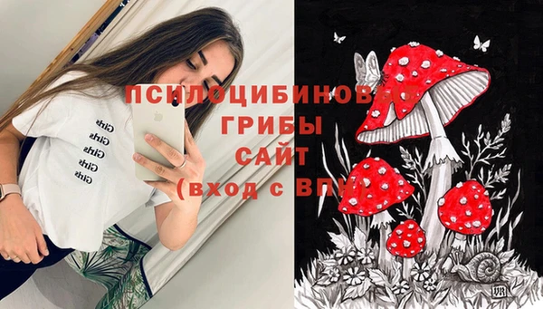 бошки Новодвинск