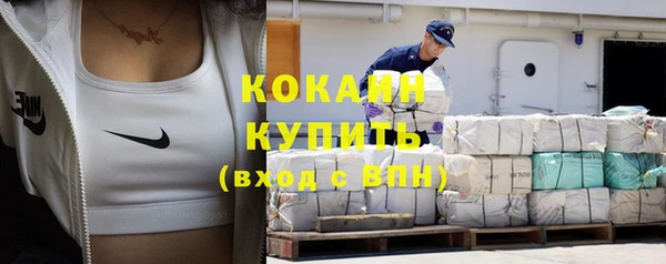 стафф Новозыбков