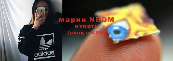 молекула духа Няндома