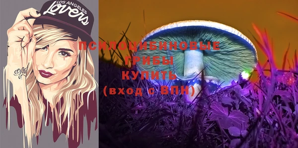 стафф Новозыбков