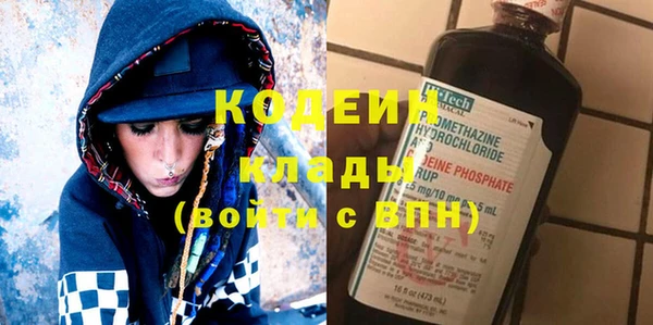 молекула духа Няндома