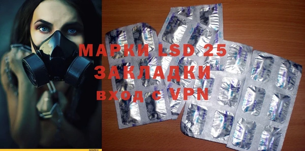 стафф Новокубанск