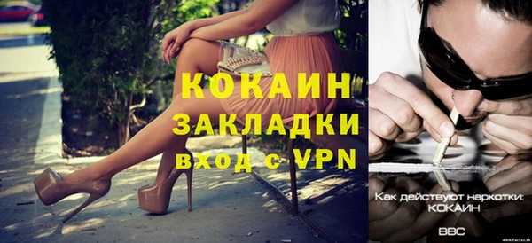 бошки Новодвинск