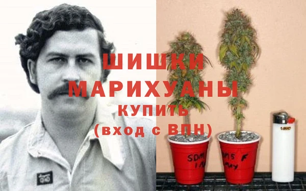 бошки Новодвинск