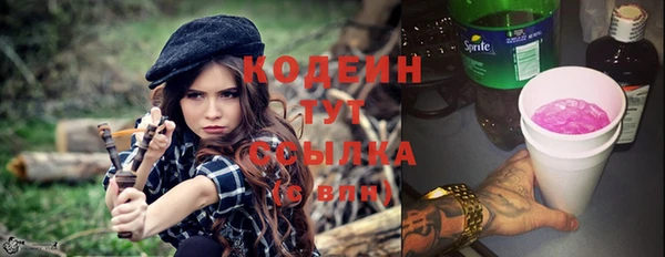молекула духа Няндома