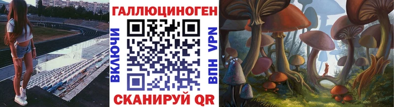Псилоцибиновые грибы прущие грибы  магазин  наркотиков  Белоозёрский 